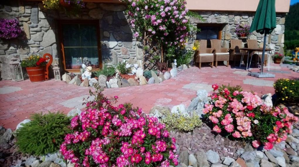 Bed and Breakfast Ow. Orla Perc Murzasichle Zewnętrze zdjęcie